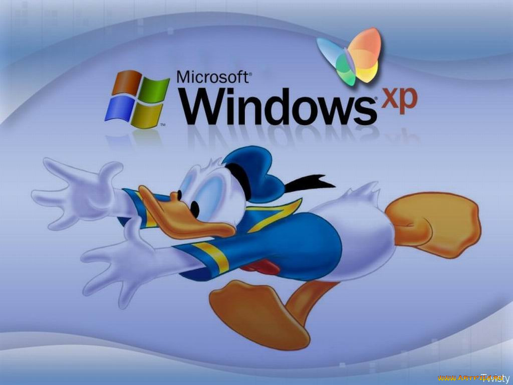 , windows, xp